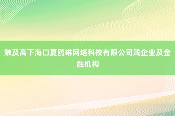 触及高下海口夏鸥琳网络科技有限公司贱企业及金融机构