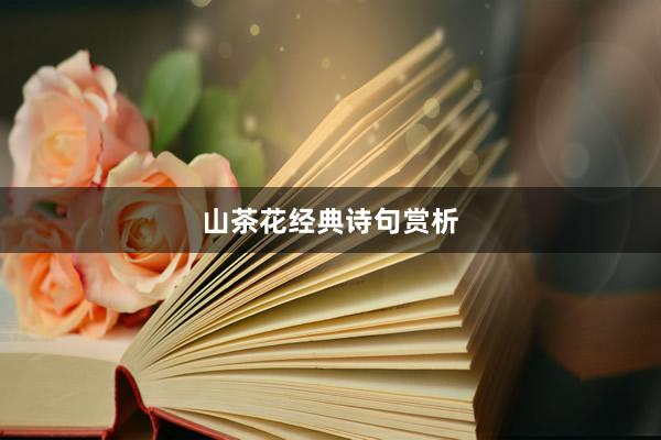 山茶花经典诗句赏析