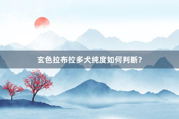 玄色拉布拉多犬纯度如何判断？