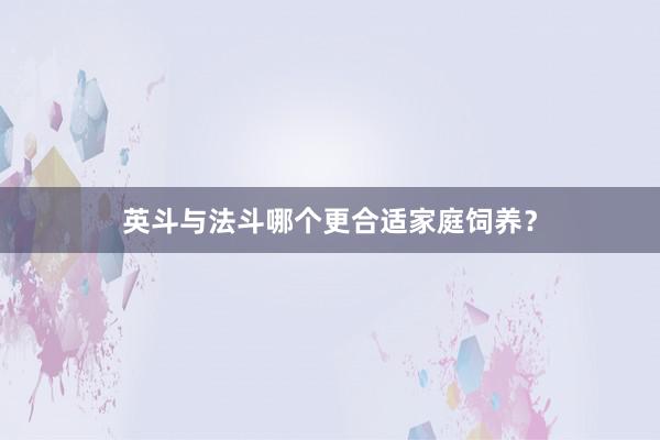 英斗与法斗哪个更合适家庭饲养?