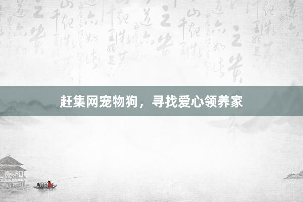 赶集网宠物狗，寻找爱心领养家
